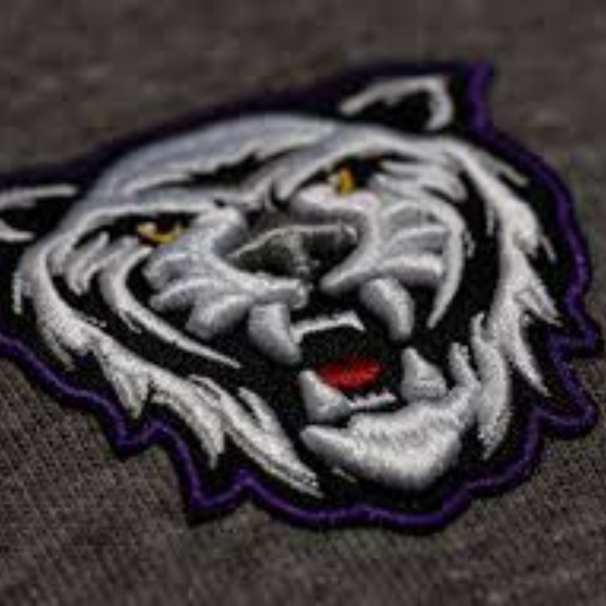 3D Embroidered Patches